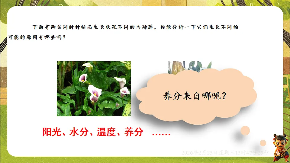 17959808第2页