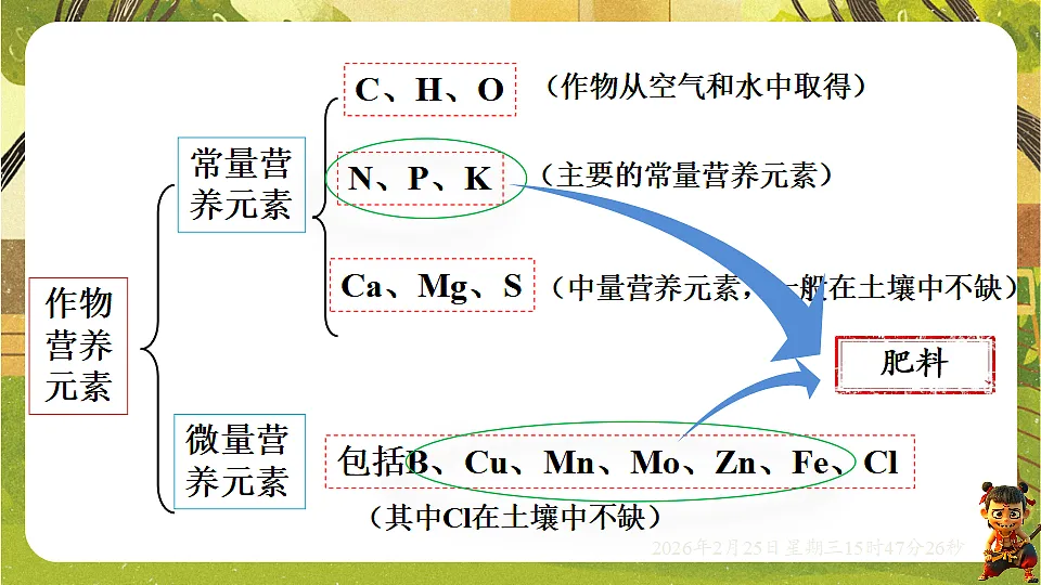 17959808第4页