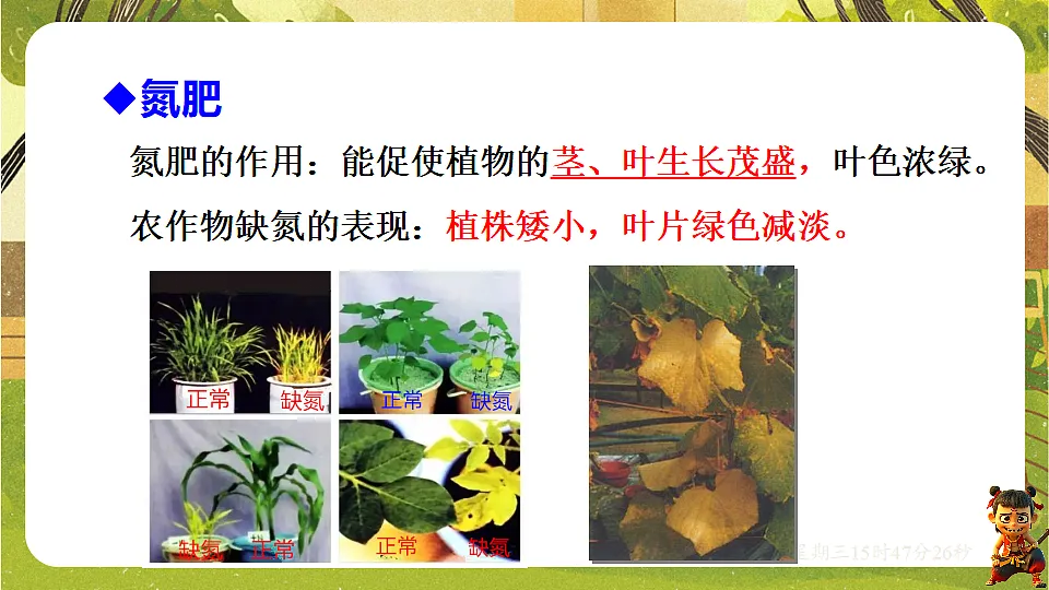 17959808第6页