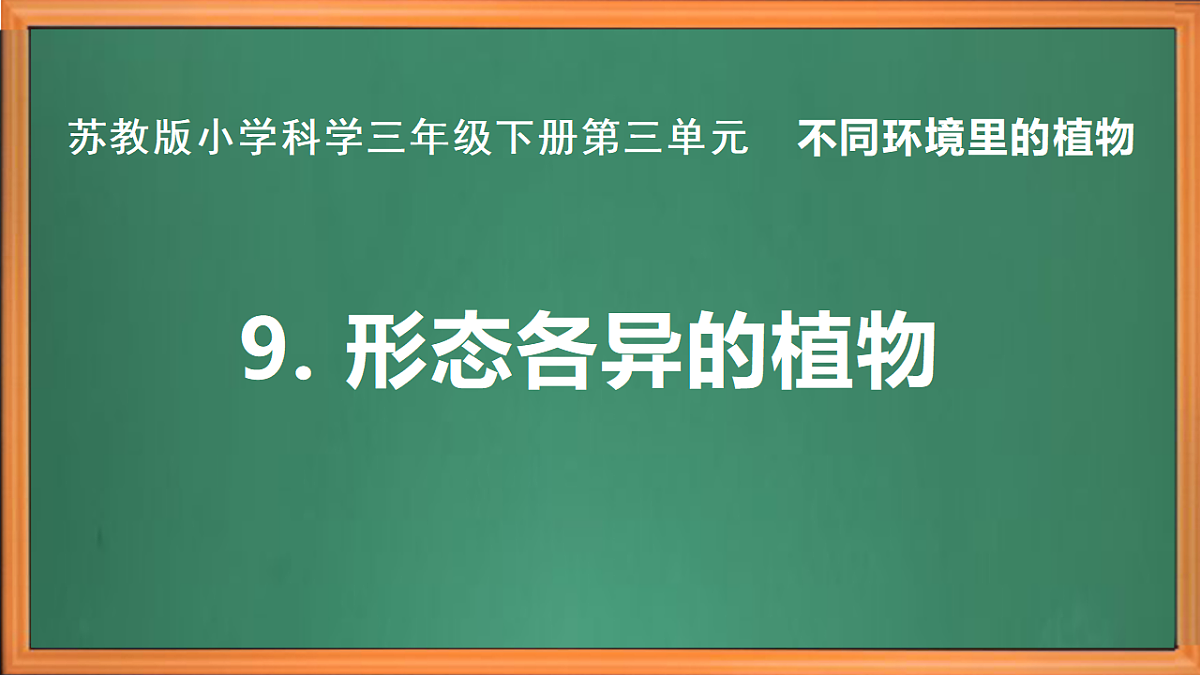 苏教版小学科学三年级下册第三单元《9.形态各异的植物》课件+作业设计+视频第2页