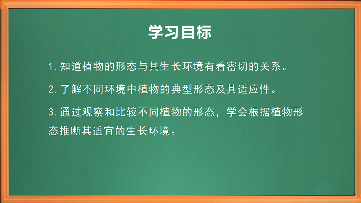 苏教版小学科学三年级下册第三单元《9.形态各异的植物》课件+作业设计+视频第3页