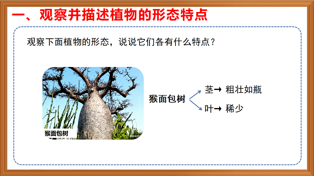 苏教版小学科学三年级下册第三单元《9.形态各异的植物》课件+作业设计+视频第4页