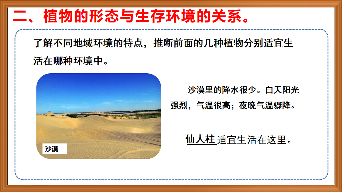 苏教版小学科学三年级下册第三单元《9.形态各异的植物》课件+作业设计+视频第8页