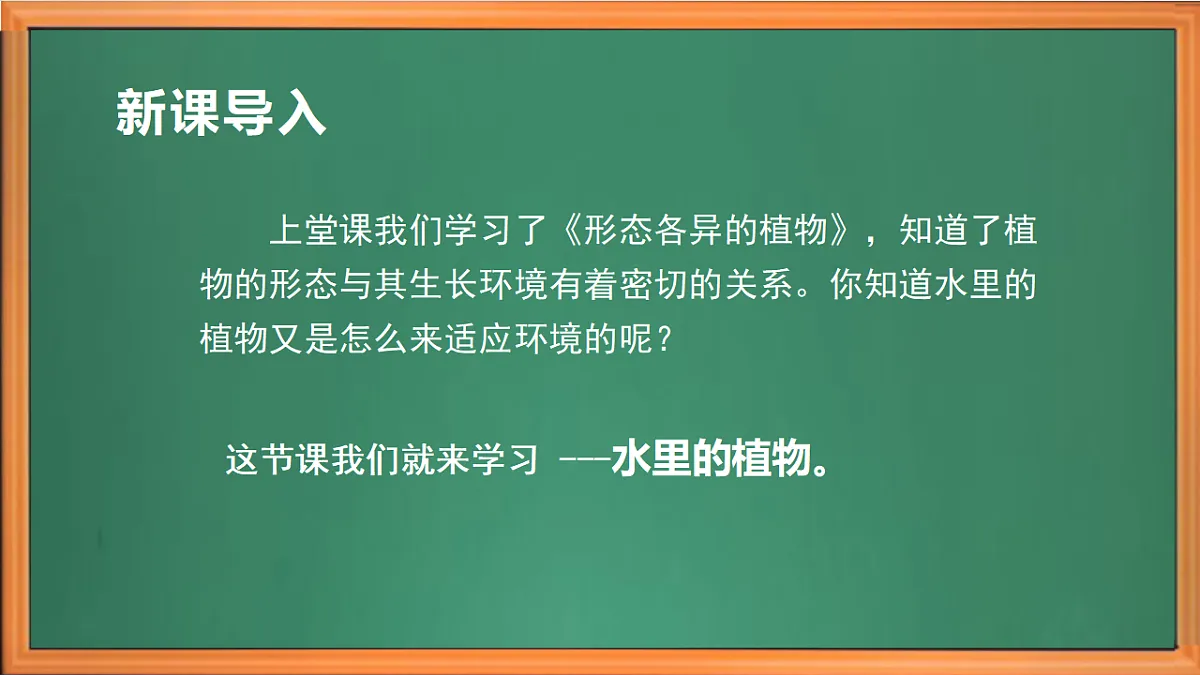 苏教版小学科学三年级下册第三单元《10.水里的植物》课件+作业设计+视频第1页