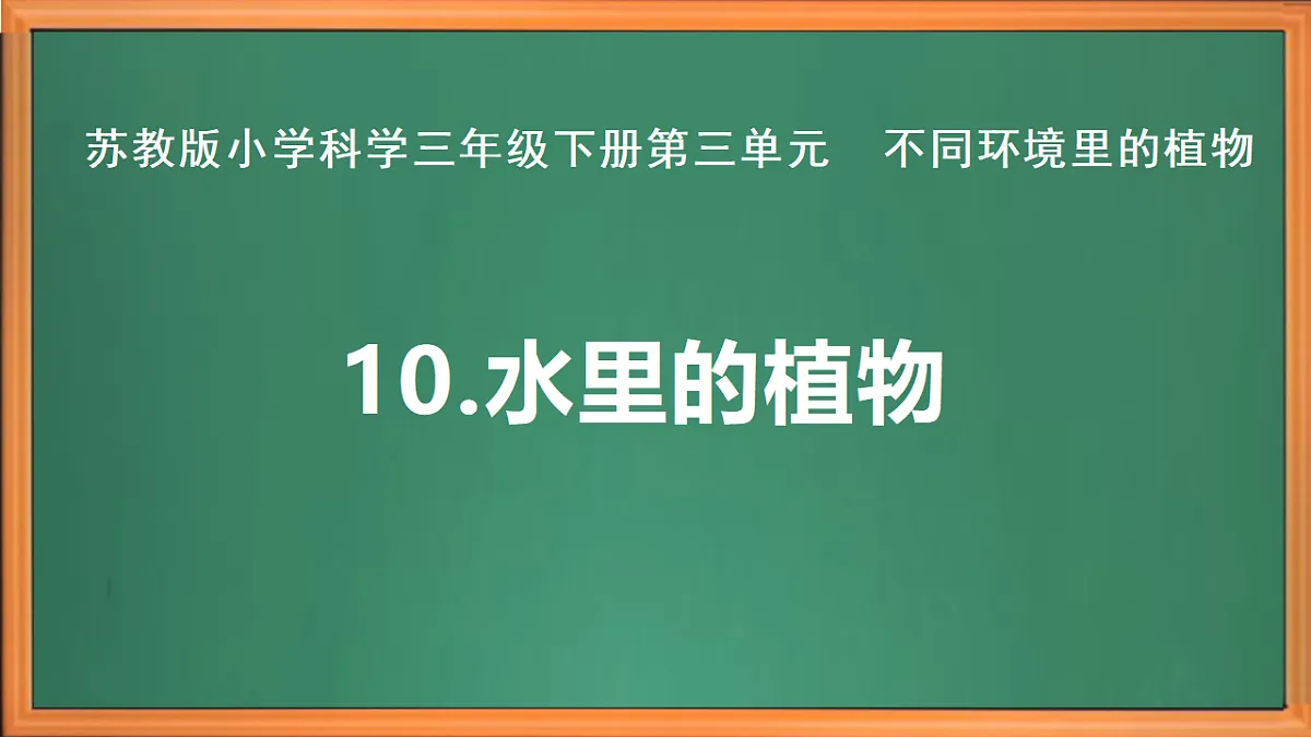 苏教版小学科学三年级下册第三单元《10.水里的植物》课件+作业设计+视频第2页