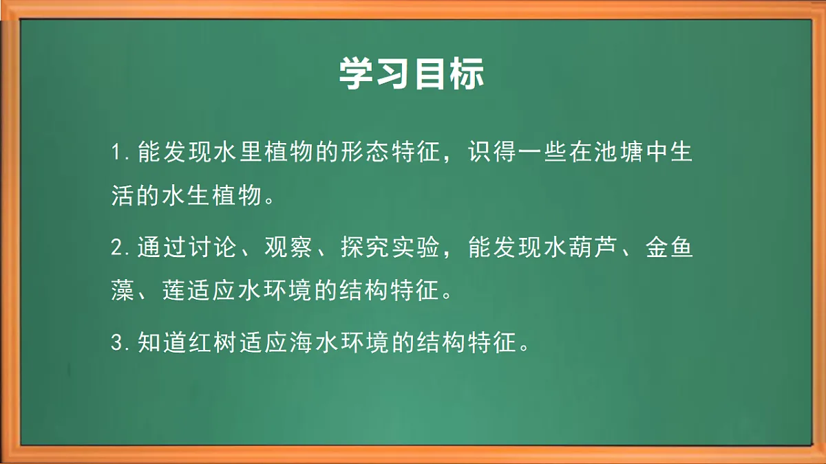 苏教版小学科学三年级下册第三单元《10.水里的植物》课件+作业设计+视频第3页