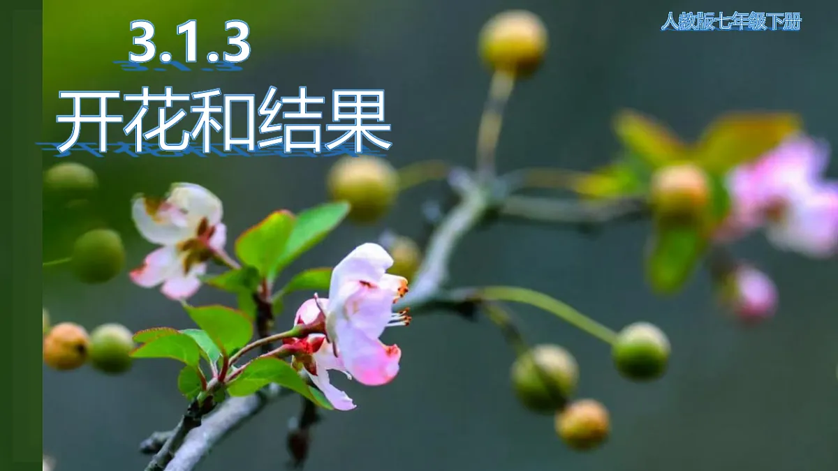 17960749第1页