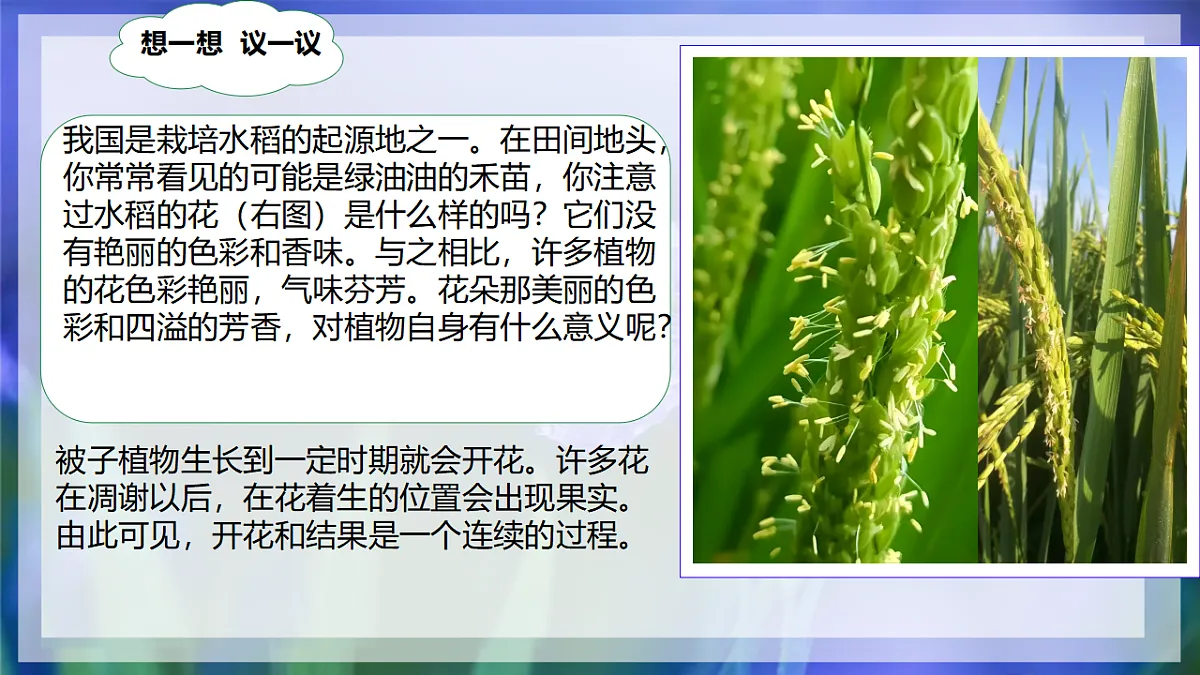 17960749第4页