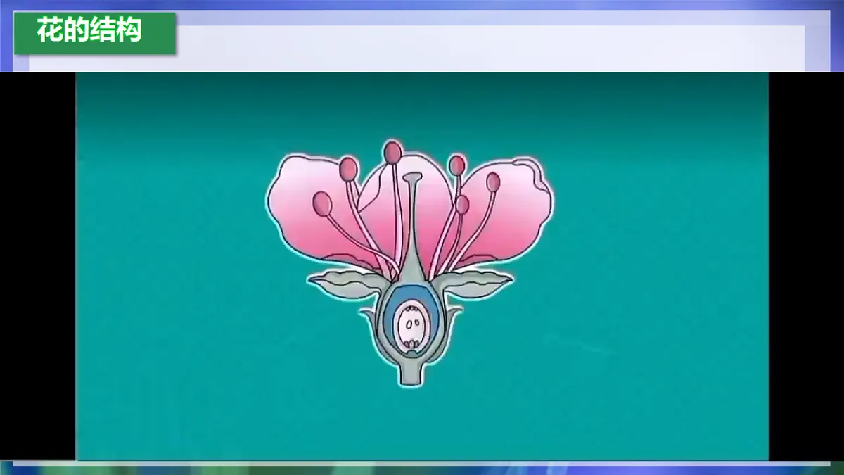 17960749第5页