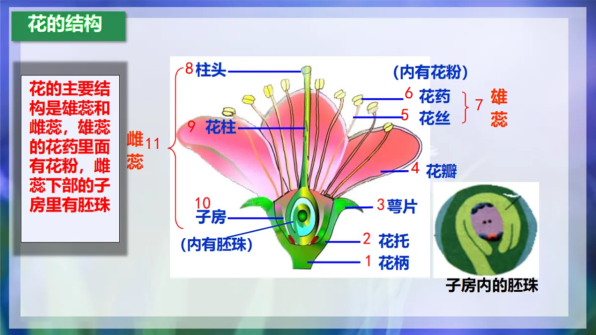 17960749第6页