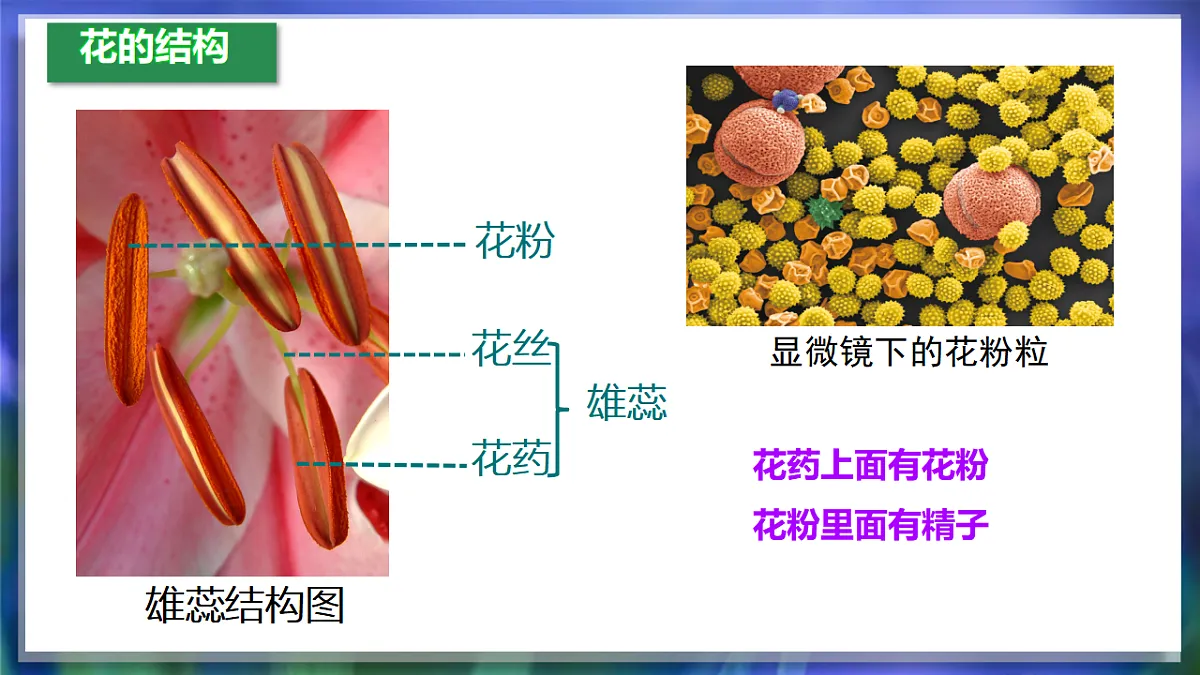 17960749第7页
