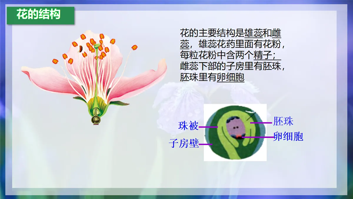 17960749第8页