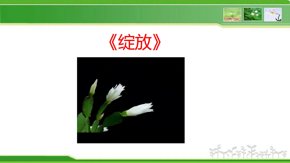 17960750第1页