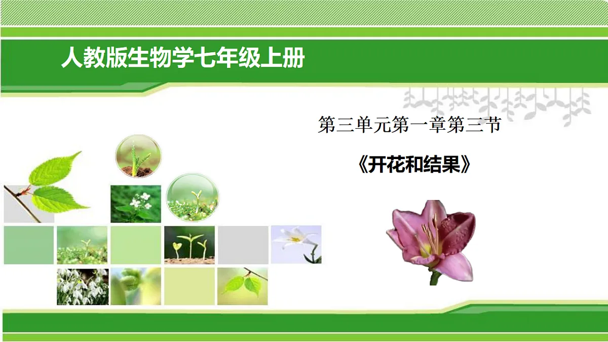 17960750第2页