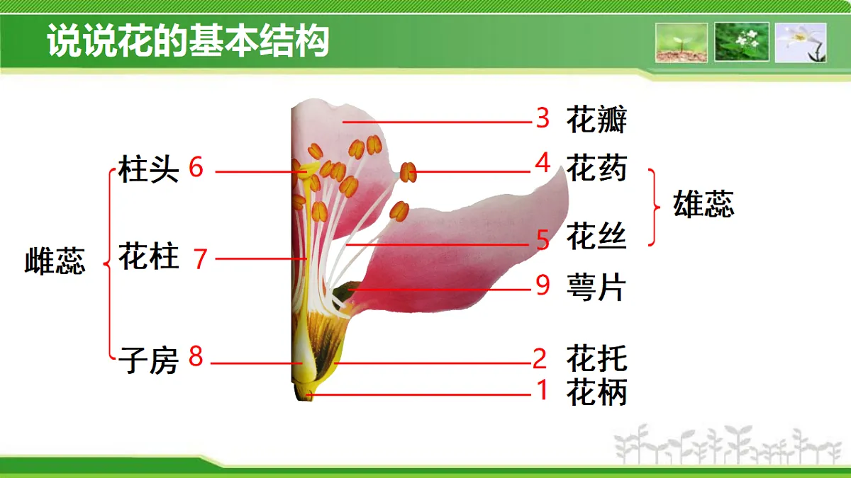 17960750第6页