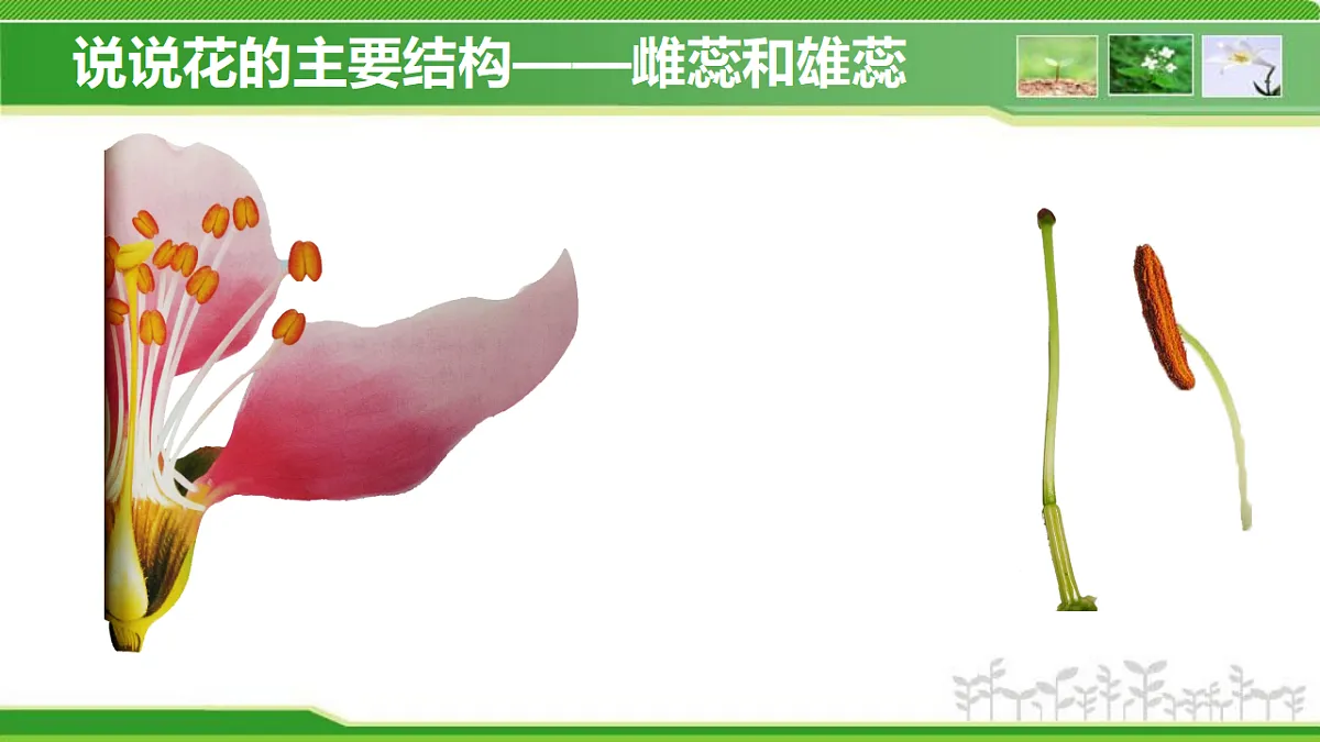 17960750第7页