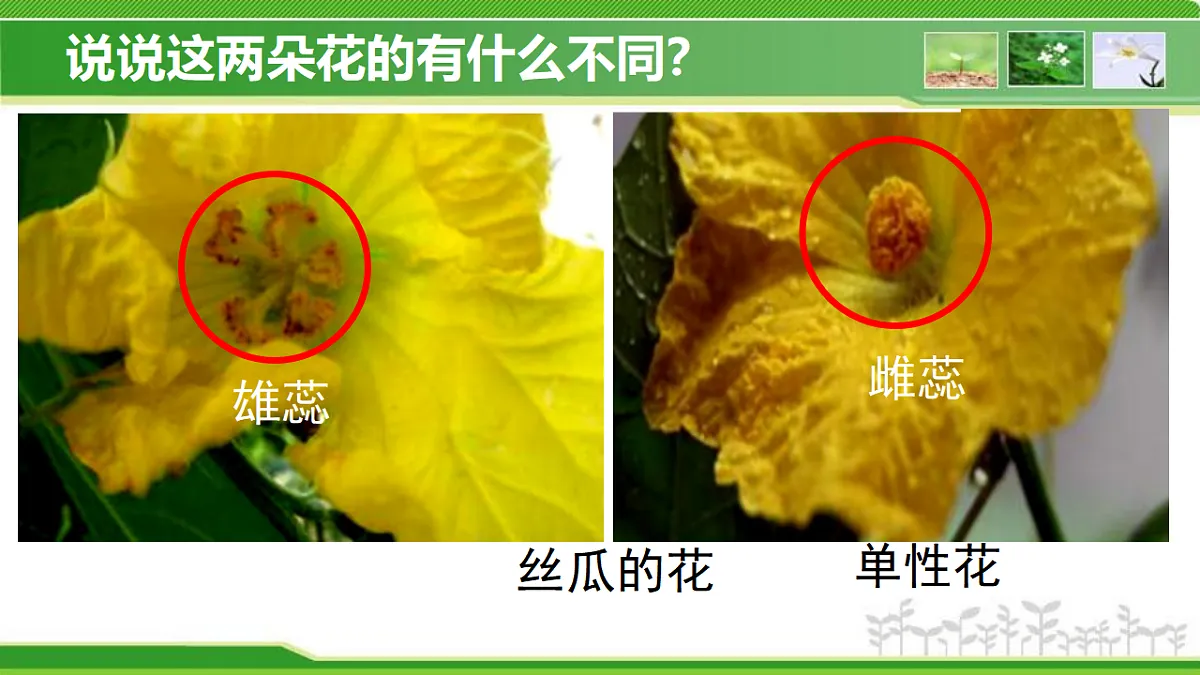17960750第8页