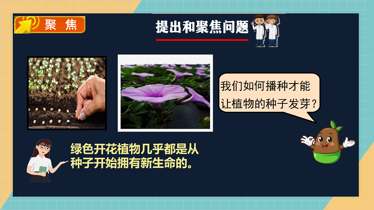 2.4《播种发芽》2026课件第2页