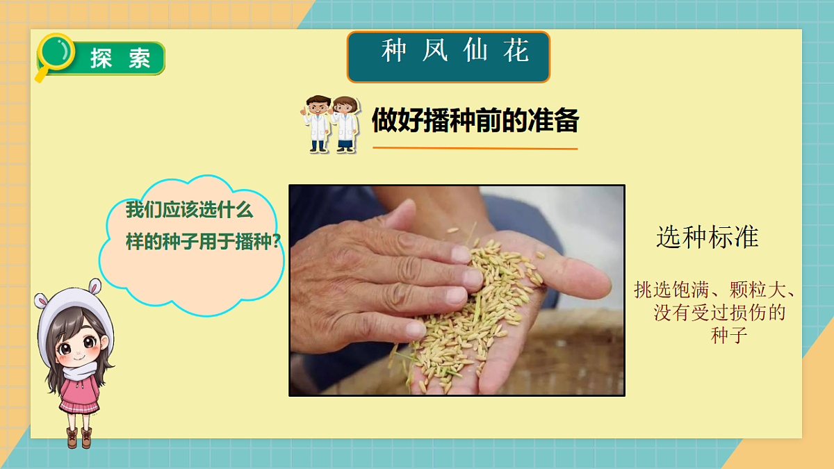 2.4《播种发芽》2026课件第3页