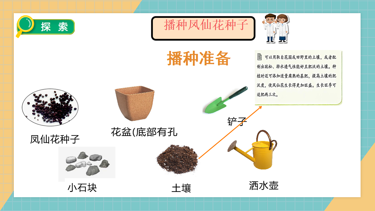 2.4《播种发芽》2026课件第6页