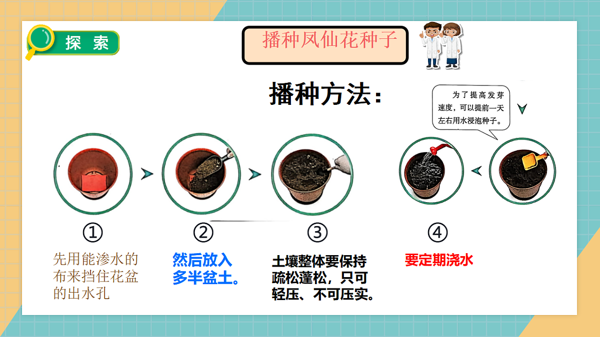 2.4《播种发芽》2026课件第7页