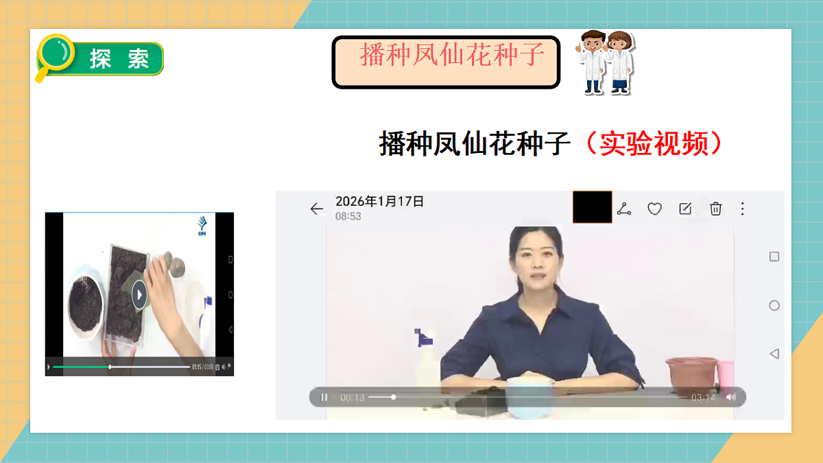 2.4《播种发芽》2026课件第8页