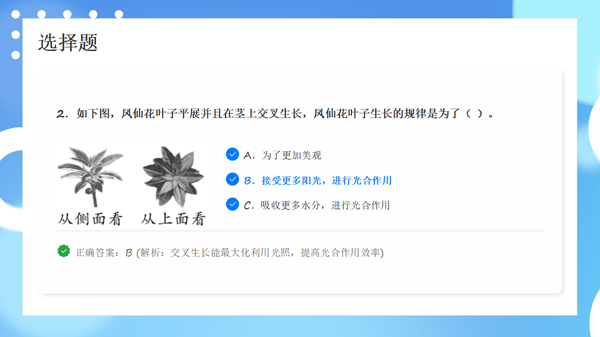 四年级科学下册1.4 茎和叶 同步分层练习讲解课件(35张)第3页