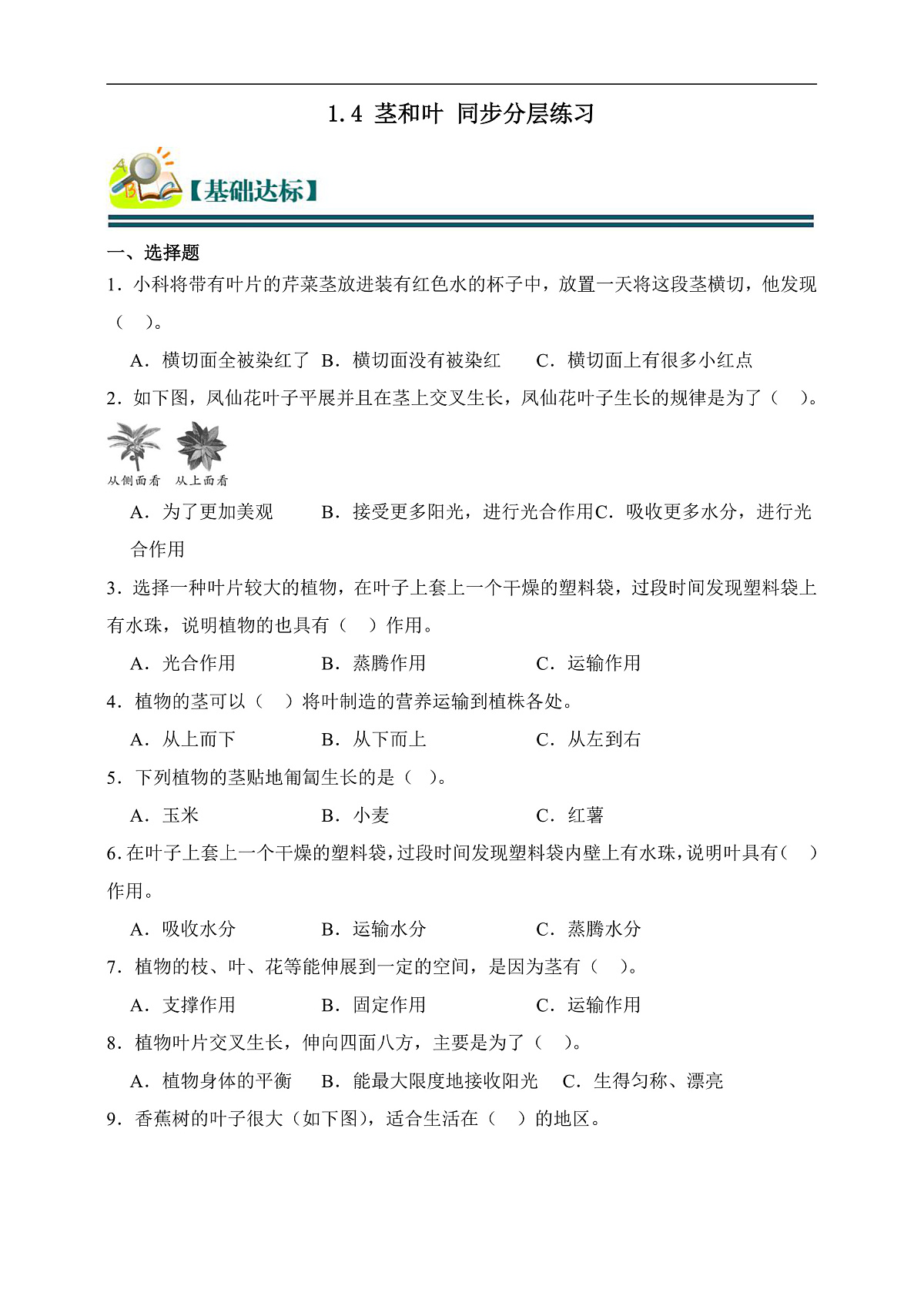 四年级科学下册1.4 茎和叶 同步分层练习(含答案)第1页