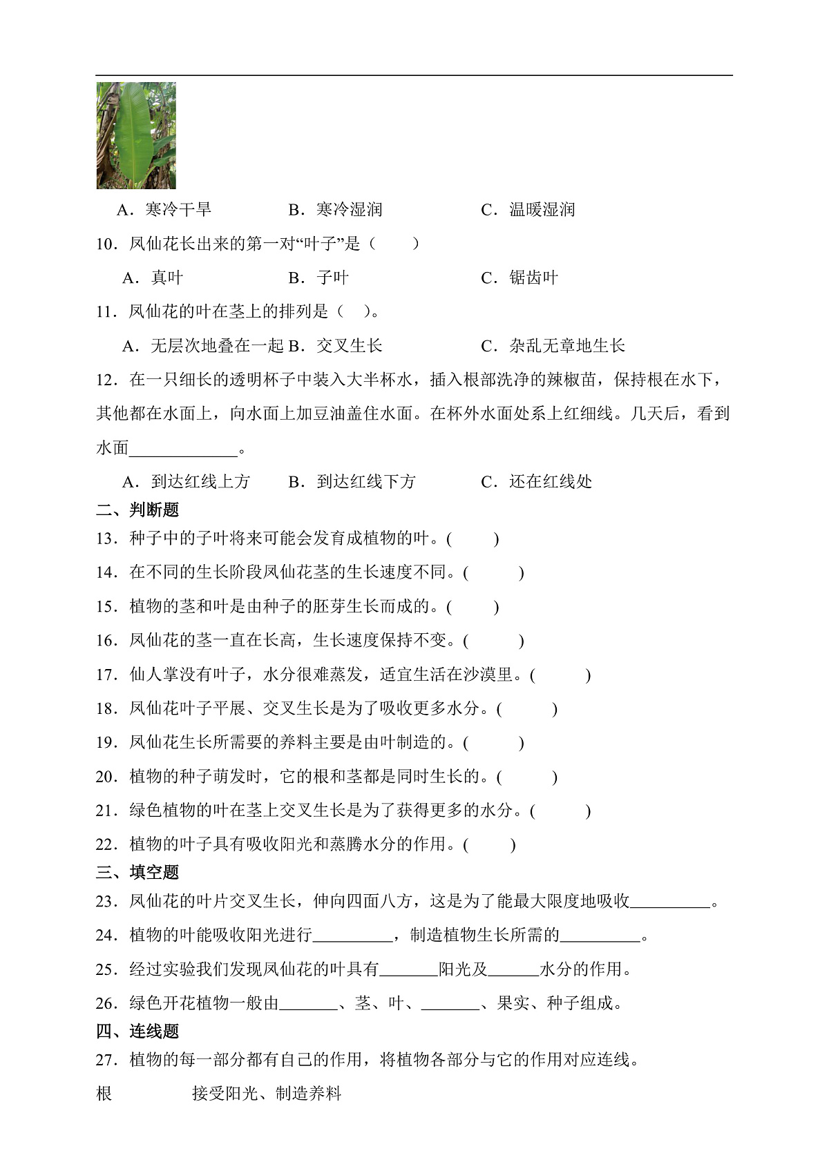 四年级科学下册1.4 茎和叶 同步分层练习(含答案)第3页