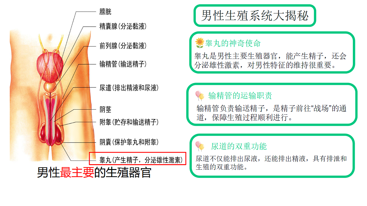 17962588第5页