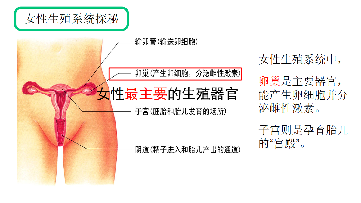17962588第6页