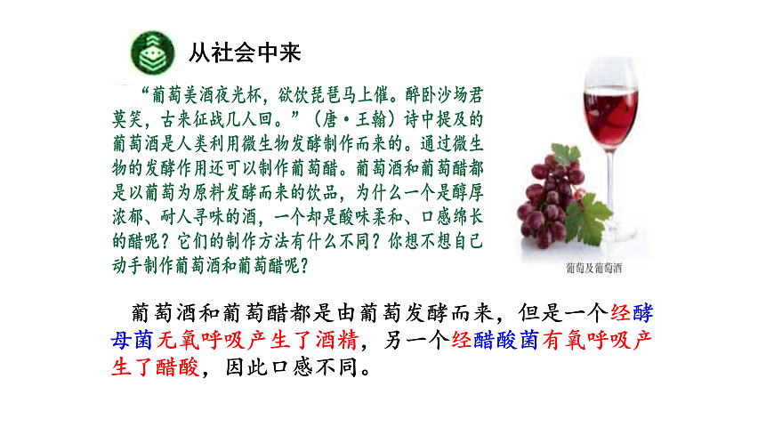 第1章第1节传统发酵技术的应用第4页