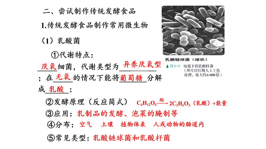 第1章第1节传统发酵技术的应用第7页