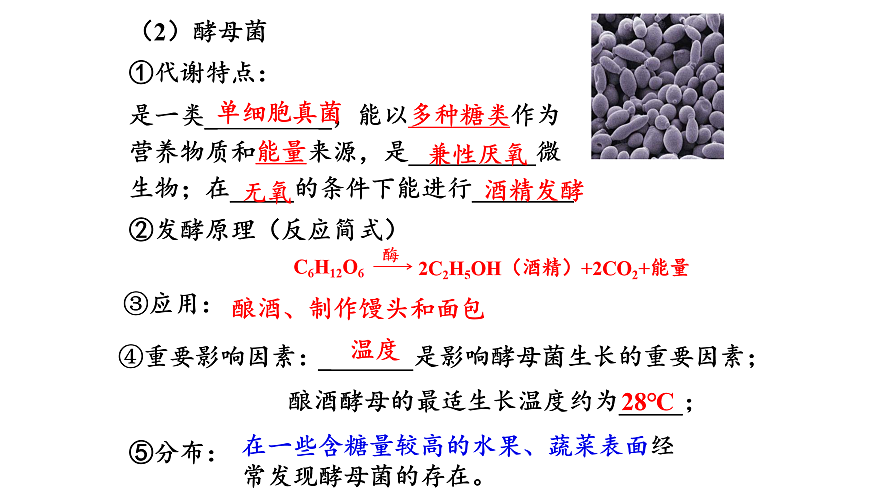 第1章第1节传统发酵技术的应用第8页