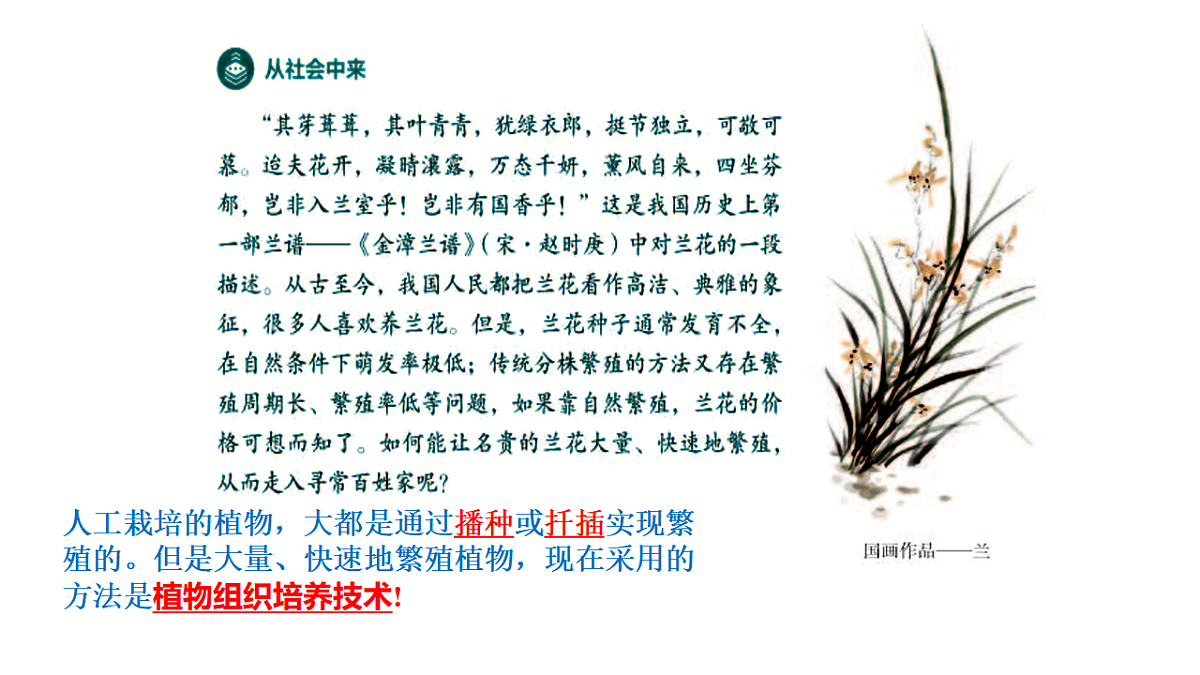 第2章细胞工程第1节(1)植物细胞工程的基本技术第5页