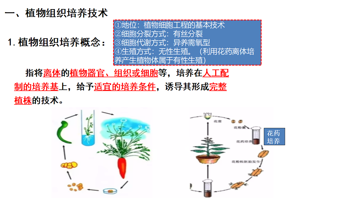 第2章细胞工程第1节(1)植物细胞工程的基本技术第6页