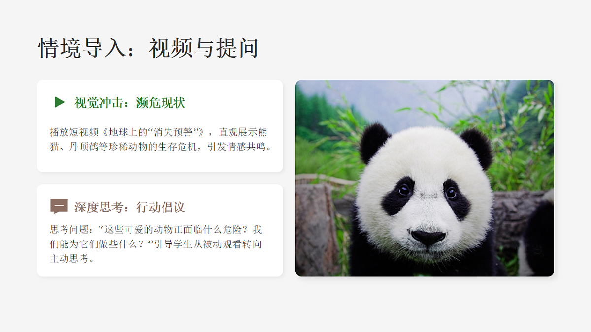 《珍稀动物》PPT课件第3页
