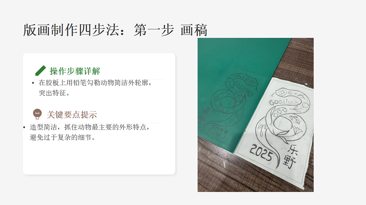 《珍稀动物》PPT课件第8页