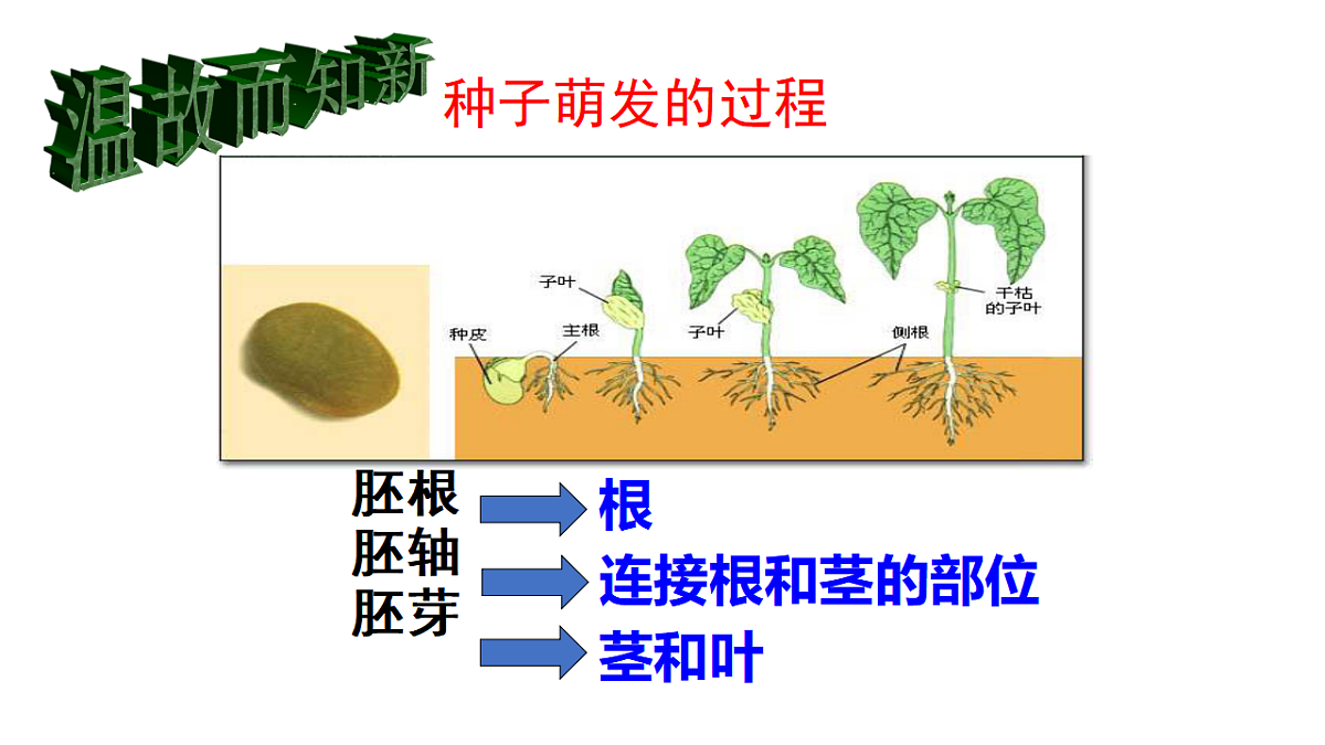 17963806第2页