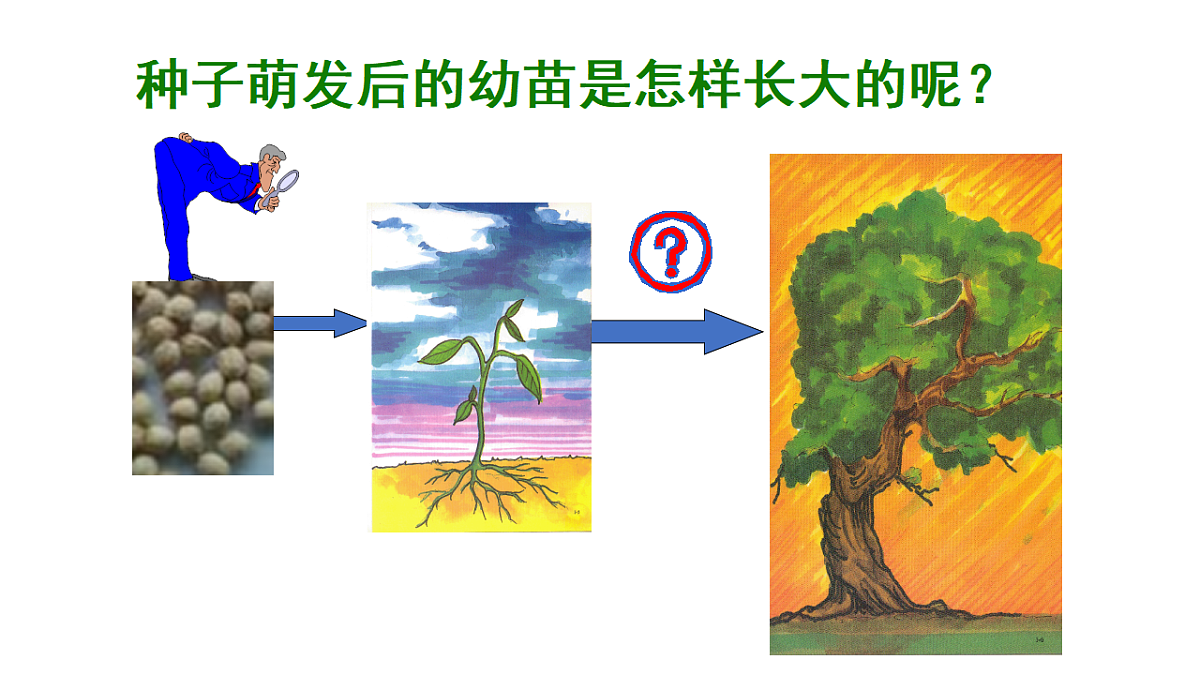 17963806第3页