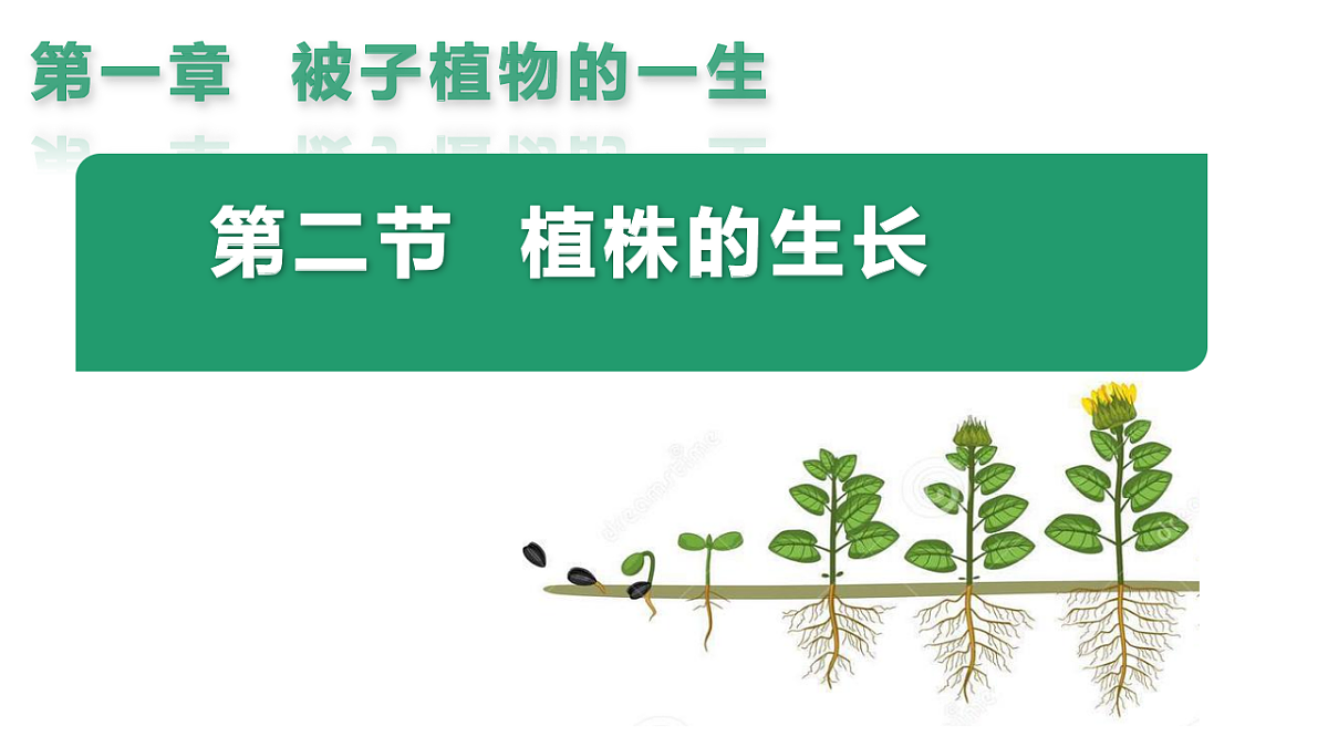 17963806第4页