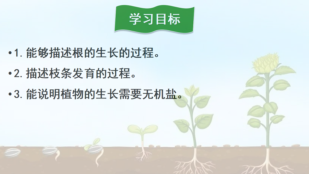 17963806第5页
