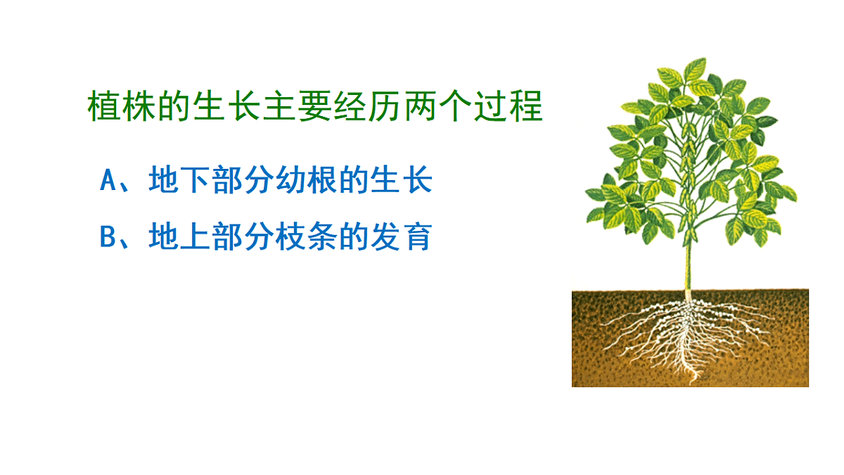 17963806第6页