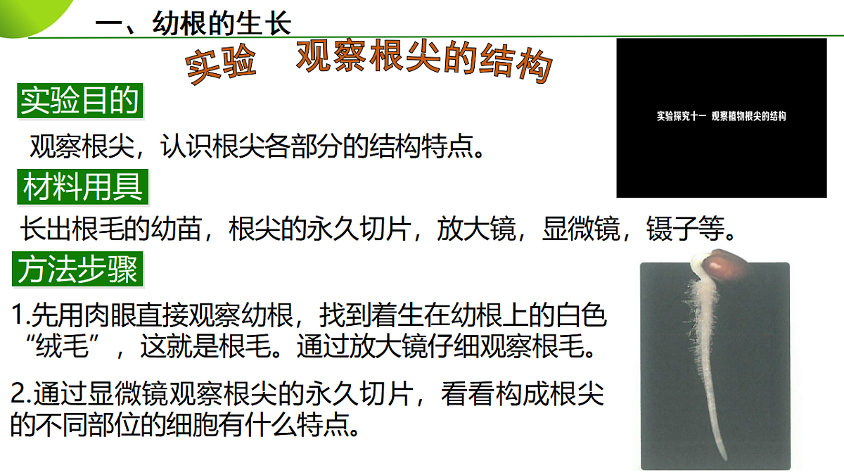 17963806第7页