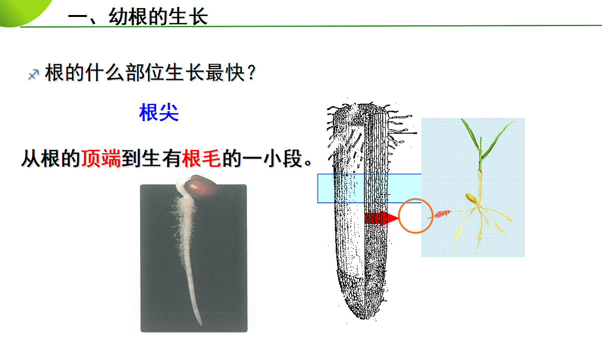 17963806第8页