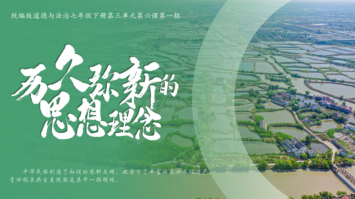 17963894第6页