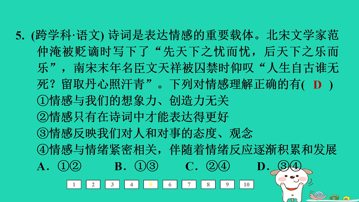 17964166第7页