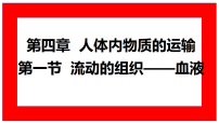 初中人教版(2024)流动的组织—血液授课课件ppt