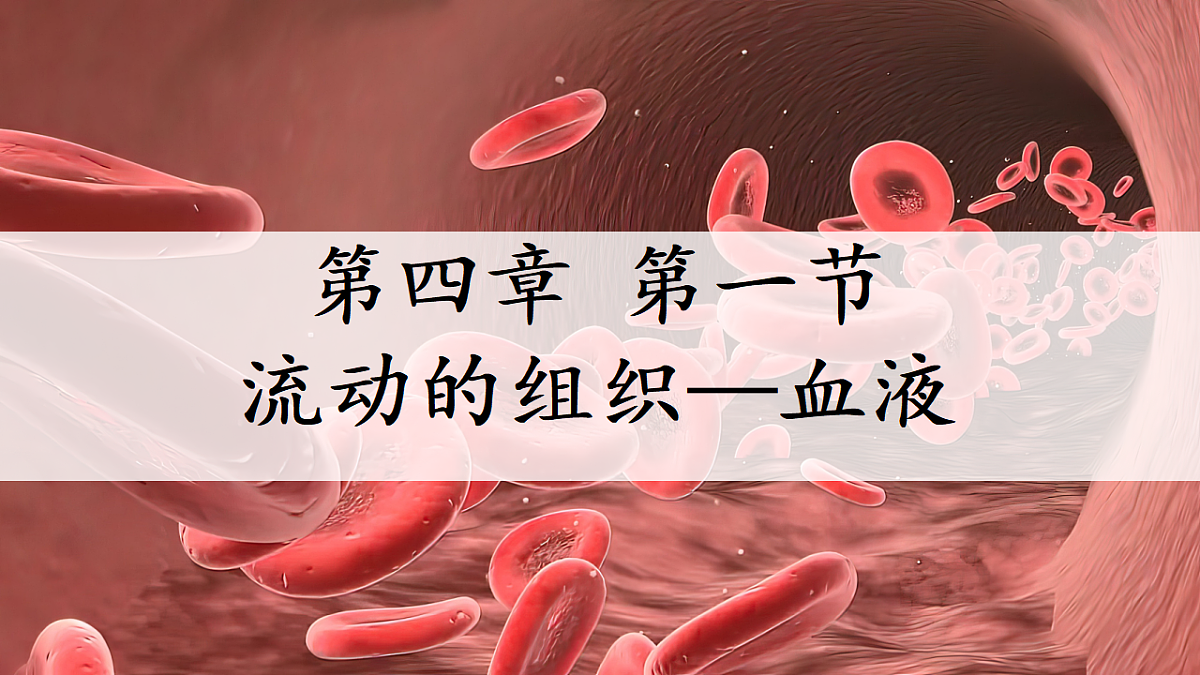 17966136第1页