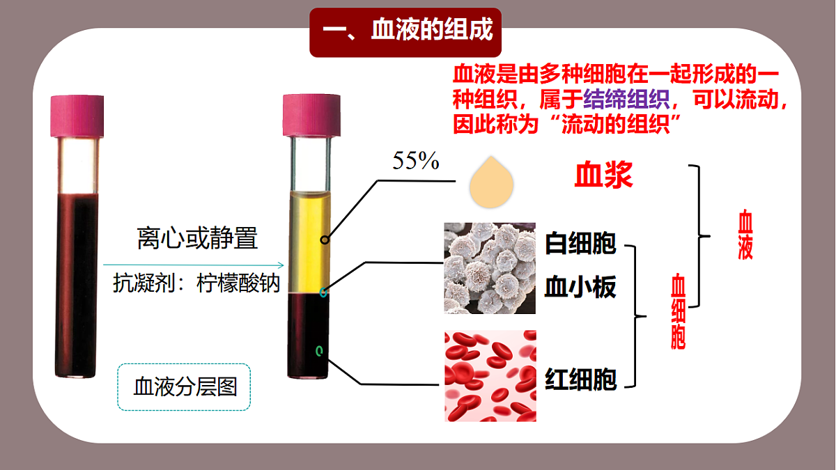 17966136第2页
